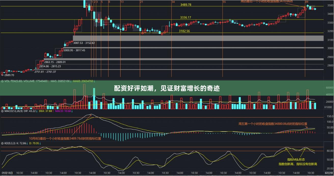 配资好评如潮，见证财富增长的奇迹