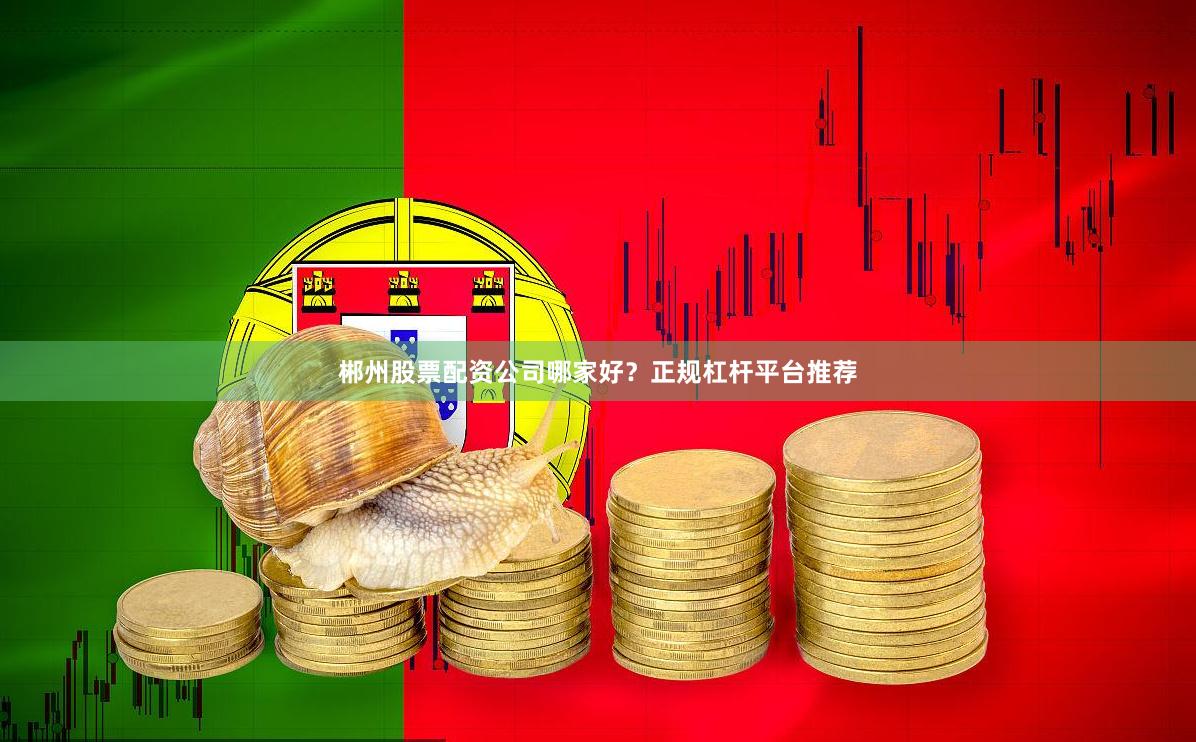 郴州股票配资公司哪家好？正规杠杆平台推荐