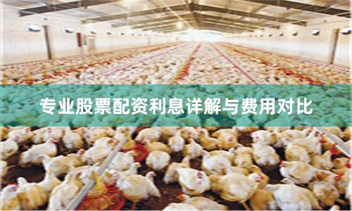 专业股票配资利息详解与费用对比